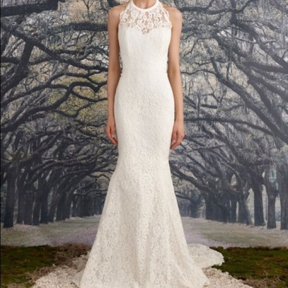 Ashley Nicole Miller Bridal Gown